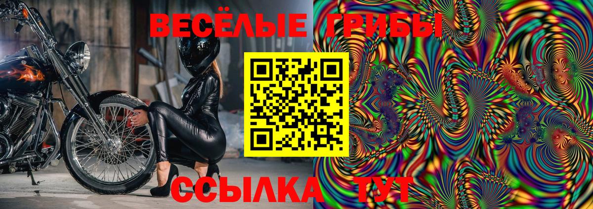 Галлюциногенные грибы MAGIC MUSHROOMS Заводоуковск